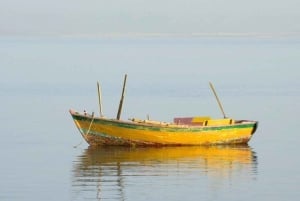 Do Cairo: Visita guiada ao Oásis de Fayoum e Wadi Al Rayan