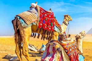 Depuis Gizeh : Excursion d'une journée aux Pyramides de Gizeh avec prise en charge