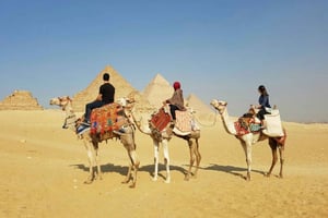 Desde Hurghada: Excursión privada de un día a El Cairo con comidas