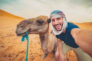 Hurghada: 4-dagers tur med hest, kamel, spa, ATV, jeep og delfin