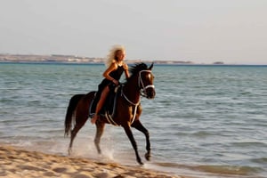 Makadi Bay: Horse Riding in Desert & Sea w Guide + Transfers