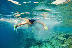 Fra Cairo: Snorkeltur på yacht med frokost
