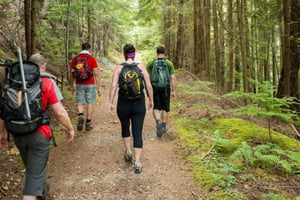 10 jours en Afrique du Sud, de Johannesburg au Cap