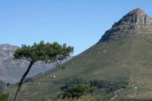 En privat tur til Lion's Head, Sign Hill og Bo-kaap