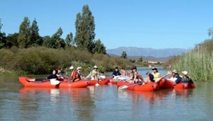 African Water Wanderers