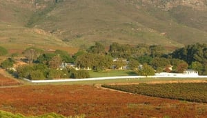 Allesverloren Wine Estate