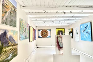 Taidekierros ja hienojen viinien maistelu Franschhoekissa