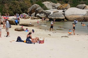 Journée à la plage de Boulder et observation des manchots, demi-journée