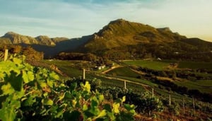 Beau Constantia Wine Estate