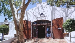 Blaauwklippen Vineyard