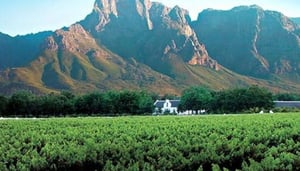 Boschendal Wine Estate