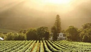 Buitenverwachting Restaurant