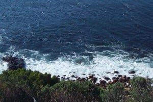 Circuit du Cap Agulhas, pointe sud du continent africain