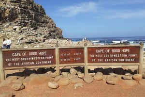 Cape of Good Hope: Sightseeing and African Penguins Tour