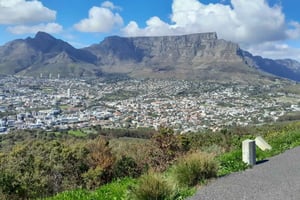 Privat tur på Cape Peninsula