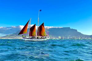 Kapsztad: 1-godzinna wycieczka żeglarska po Zatoce Stołowej