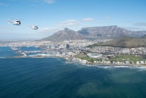 Cape Town: 12 minutters helikoptertur over byen