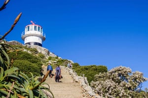 Kapkaupunki: 2 päivän retki Kapin niemimaalle ja Kap Agulhasille