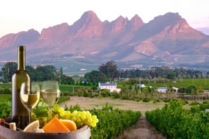 Cape Town Wine Tour (Paarl, Stellenbosch & Franschhoek)