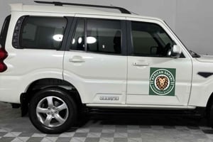 Città del Capo: tour di 4 giorni della Garden Route Pvt con alloggio