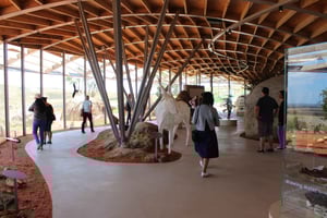 ケープタウン：5日間の西海岸フラワーツアー