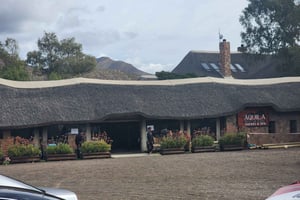 Safari de los cinco grandes en Aquila con transporte, almuerzo Excluida la tasa del parque