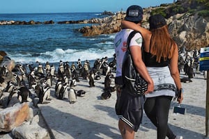 Kapkaupunki: CAPE OF GOOD HOPE JA PENGUINS PRIVATE FULL DAY.