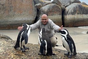 Kaapstad: Kaap de Goede Hoop, pinguïns en Hout Bay-tour
