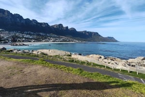 Ciudad del Cabo: safari por la península del Cabo con guía