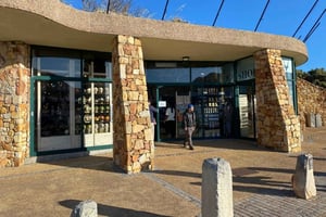 ケープタウン：ケープポイントとボルダーズビーチ・ペンギングループツアー