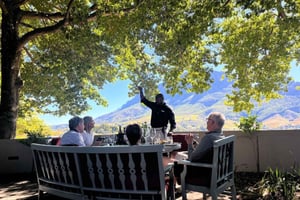 Ciudad del Cabo: tour por los viñedos del Cabo con cata de vinos