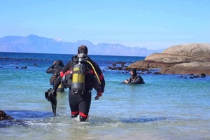 Kapkaupunki: Discover Scuba Diving - 1 päivän kokemus