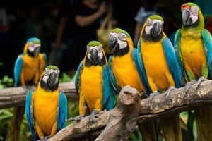 Cape Town for Children: Family Tour