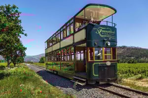 Cape Town: Franschhoek Wine Tour with Tram Ride