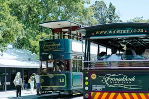 Ciudad del Cabo: tour en el tranvía del vino de Franschhoek