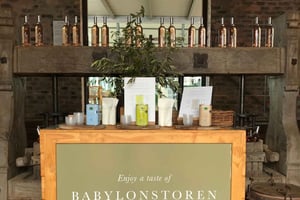 Kapsztad: Całodniowa wycieczka Stellenbosch i Franschhoek Wine Tour