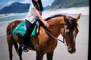 Kapkaupunki: Koko päivän kierros, ratsastusta ja viiniä