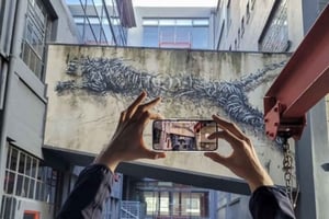 Kapstaden: Halvdags tur om gatukonst