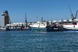 Skjulte perler i Cape Town: guidet byomvisning med en L O K A L