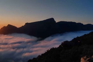 Kapstaden: Vandretur med naturskøn togtur og bustur