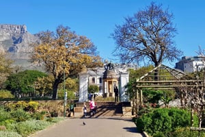 Le Cap : visite à pied des musées