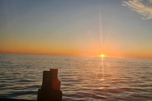 Kapstaden: Ocean Safari 1 timme