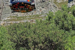 Cape Town: Privat tur i byen med lokal guide