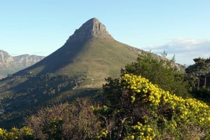 Cidade do Cabo: Excursão privada de meio dia a Lion Head