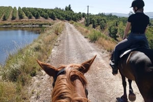 Kapstaden: Privat ridetur + brunch på landet + champagne