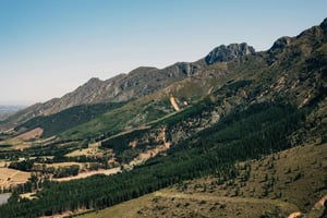 Le Cap : promenade à cheval privée avec pique-nique et vin (transport inclus)
