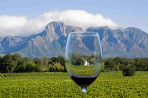 Cape Town: Private Tour of Cape Peninsula and Winelands