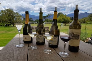 Cape Town: Private Wine Tour