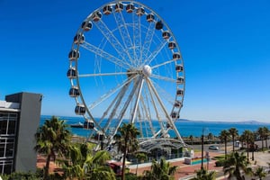 Kapstaden: Robben Island plus biljetter till Cape Big Wheel