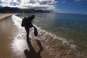 Kapstaden: Dykupplevelse för nybörjare